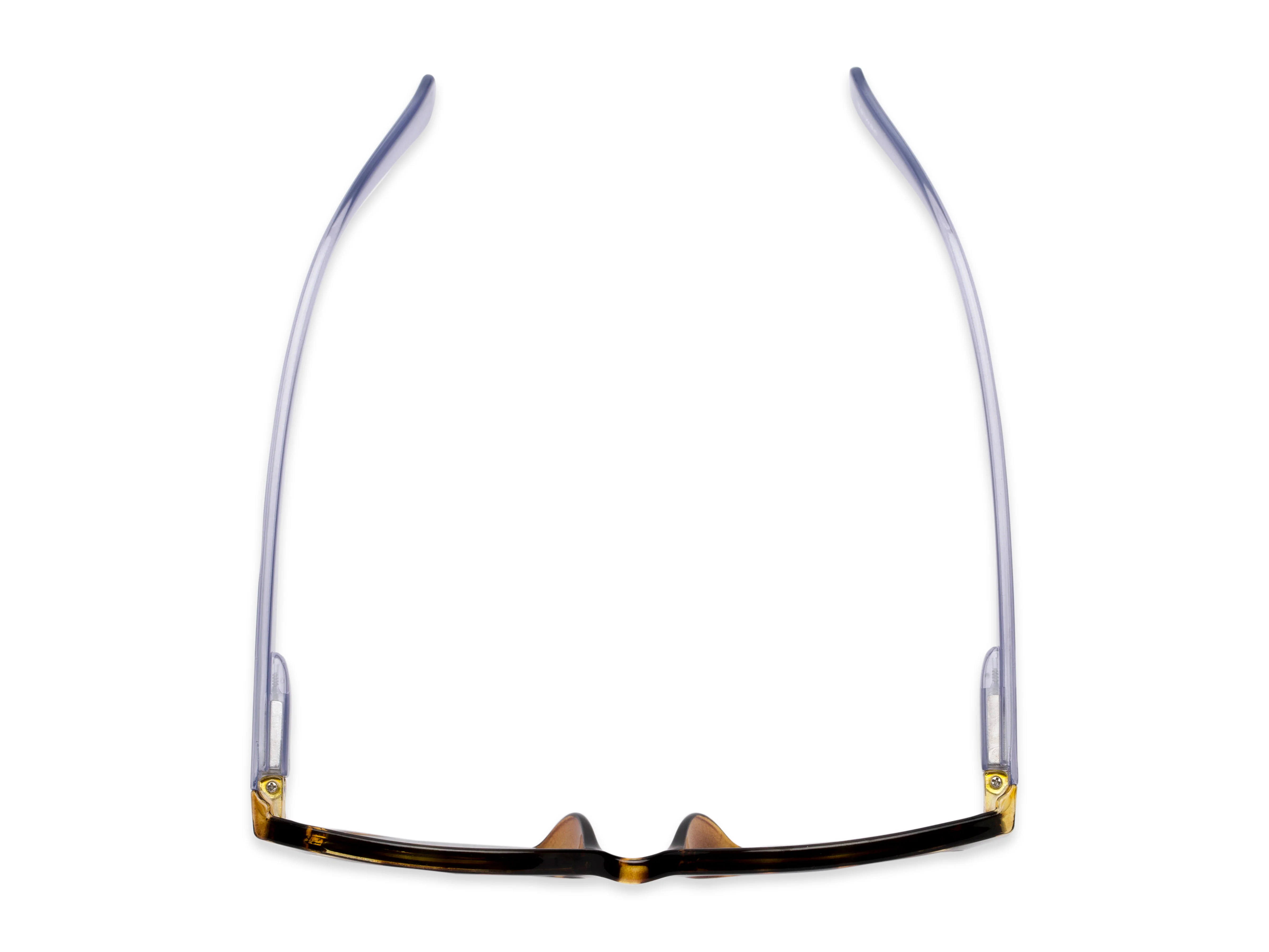 The Azalea Reading Sunglasses - Image 4